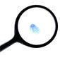 People Search Tools